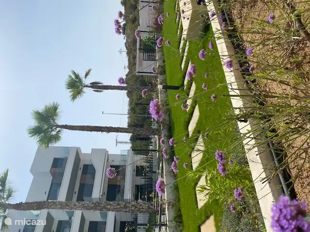 Splendeur florale partout.