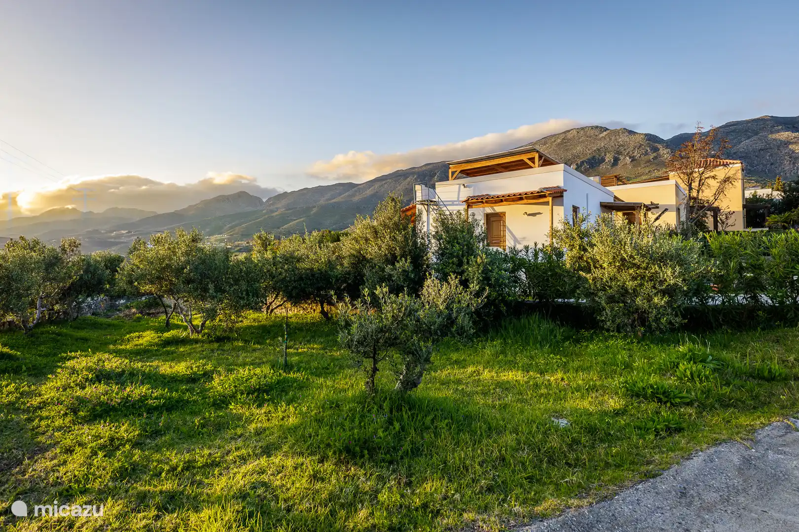 Der Garten neben der Terrasse mit Olivenbäumen