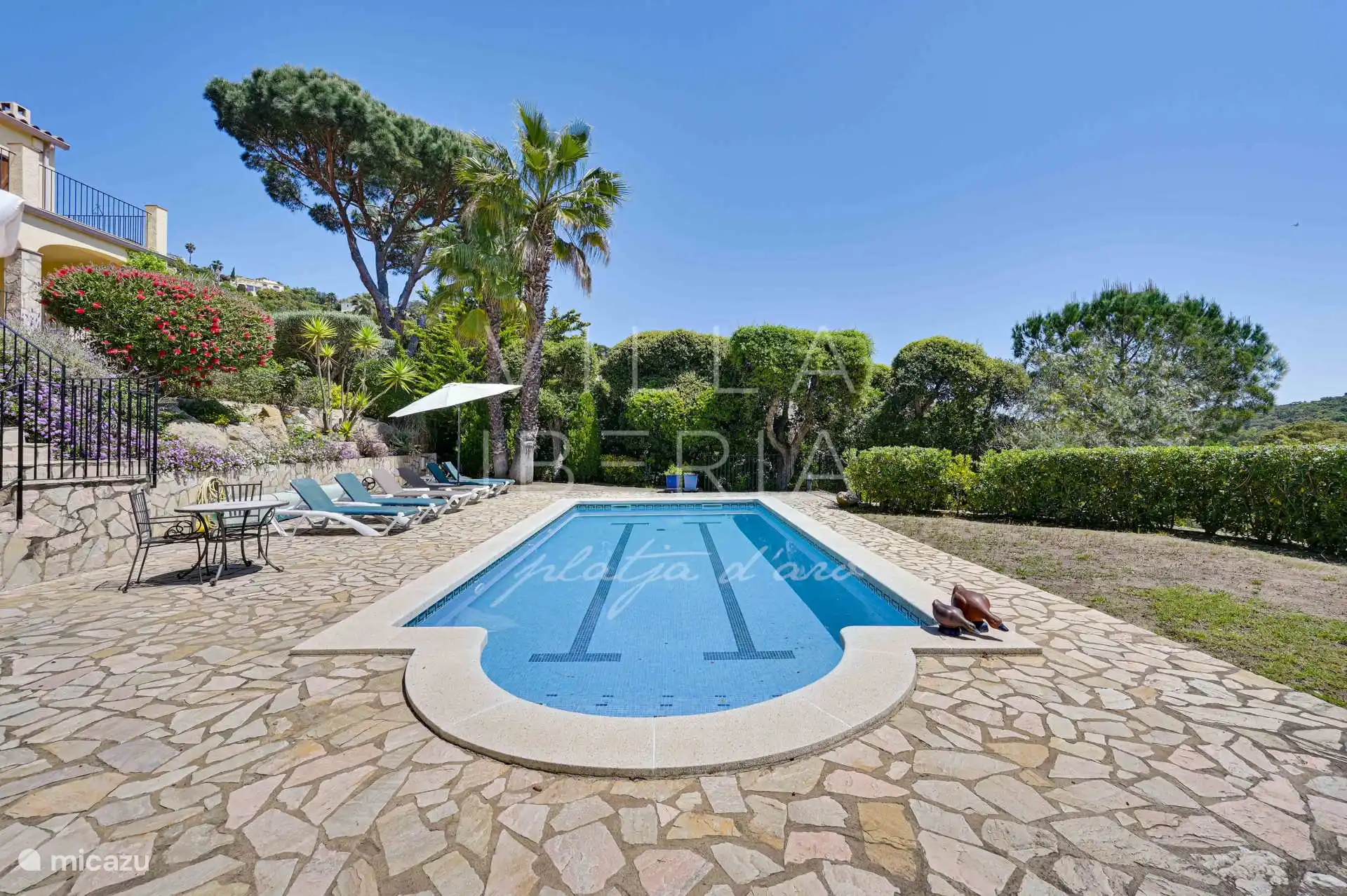swimming pool of the villa