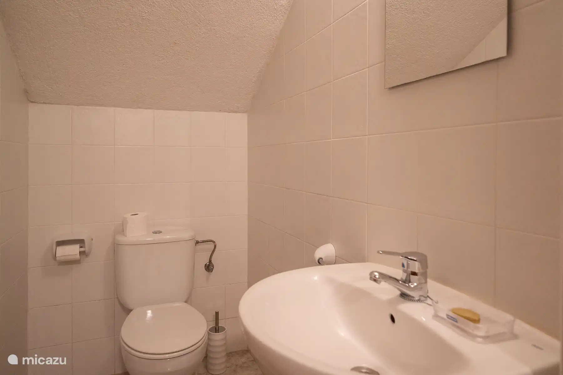 guest toilet on the floor of the kitchen