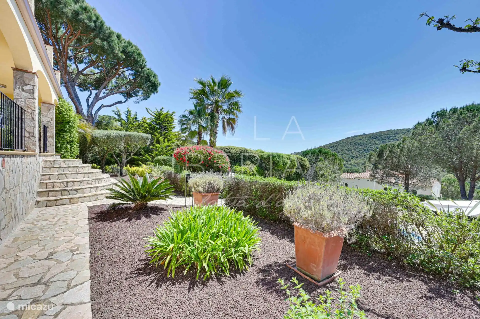 Beautiful garden of the villa