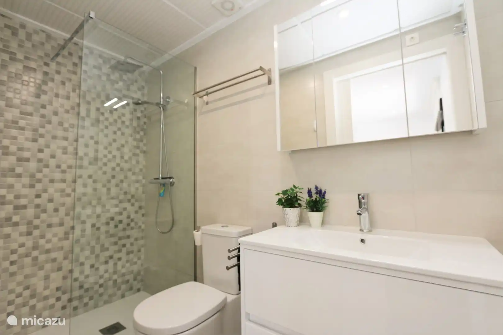 Badezimmer mit begehbarer Dusche