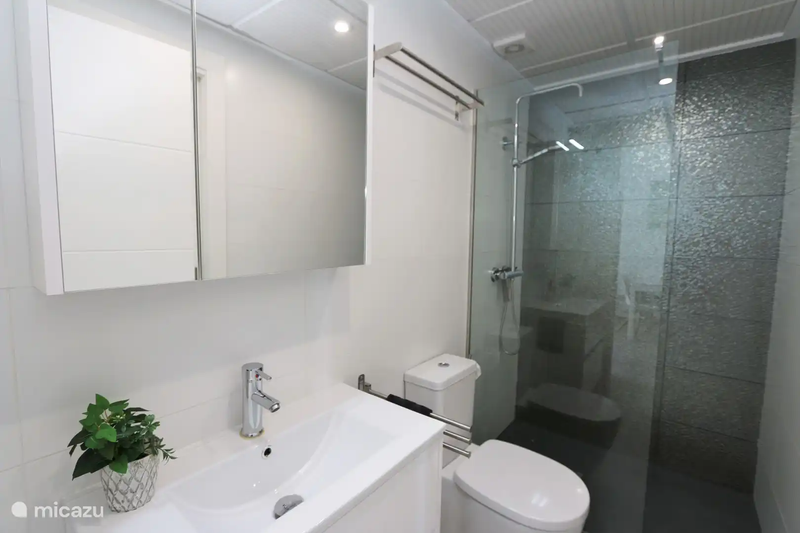 Badezimmer mit begehbarer Dusche