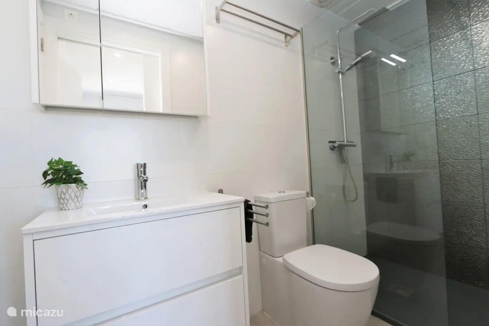 Badezimmer mit begehbarer Dusche