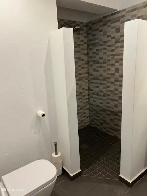 Badezimmer mit Regendusche, Handbrause, WC und Waschbecken.