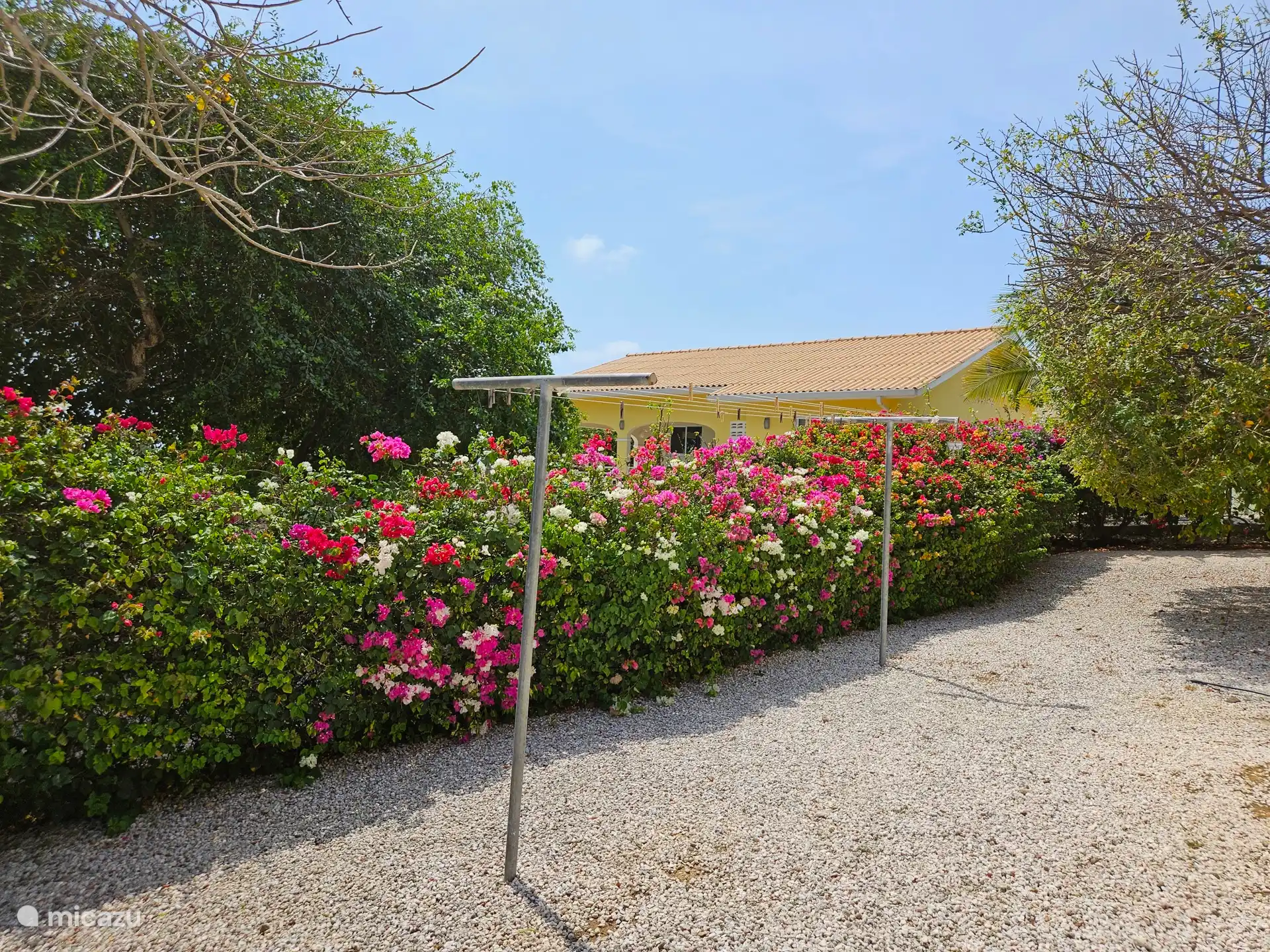 Garten mit Wäscheleine