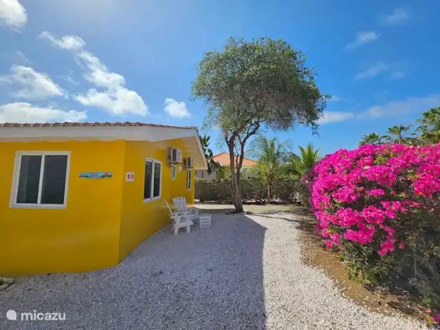 Villa Karawara en Curazao, Bandabou (oeste), Cas Abao - casa vacacional Frente al jardín