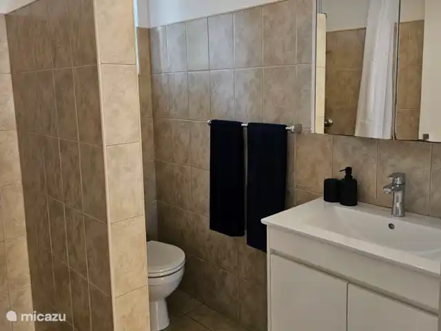 Villa Karawara en Curazao, Bandabou (oeste), Cas Abao - casa vacacional Cuarto de baño con ducha, lavabo e inodoro