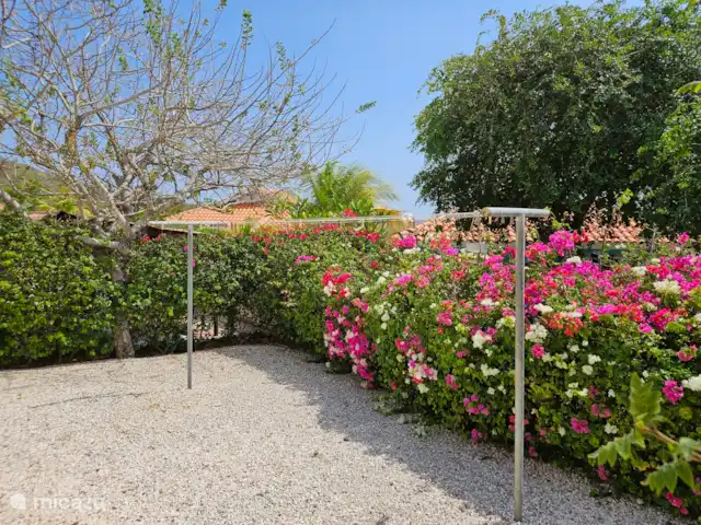 Villa Karawara en Curazao, Bandabou (oeste), Cas Abao - casa vacacional Jardín con tendedero