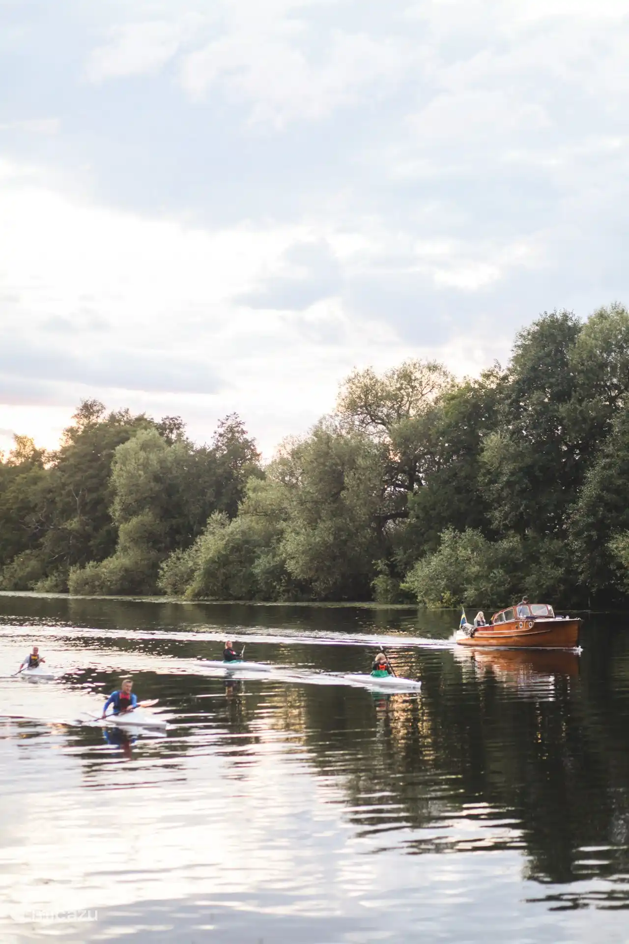 Wasserlebewesen, Angeln/Bootfahren/Schwimmen/Essen