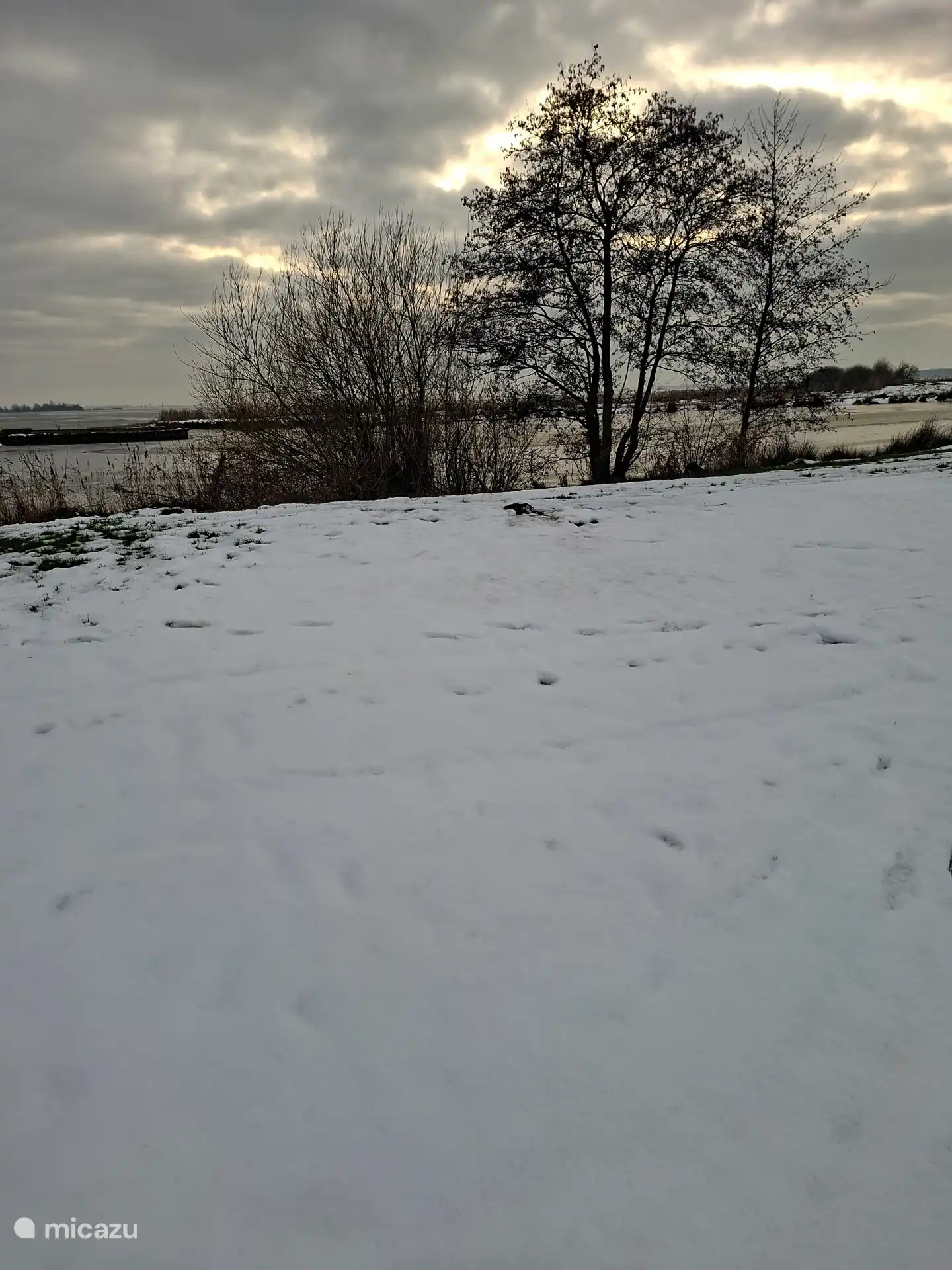 Winters tafereel bij het Tjeukemeer