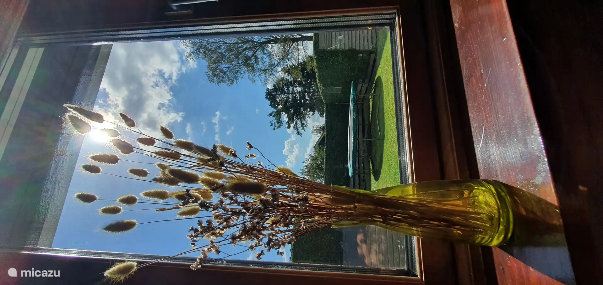 Blick vom Wohnzimmer auf einen Teil des Gartens.