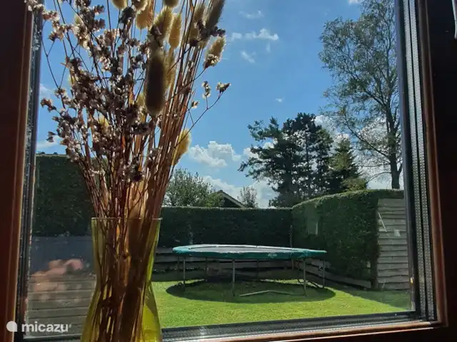Casa finlandesa cerca de un gran lago en Países Bajos, Frise, Rohel - casa vacacional Vista desde el salón en parte del jardín.