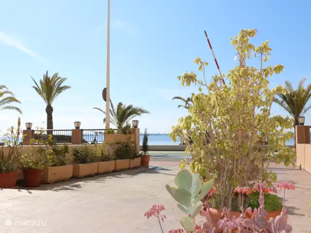 Vue sur la mer directement sur la plage | Espagne, Costa Cálida, Lo Pagán - appartement Vue sur la mer directement sur la plage