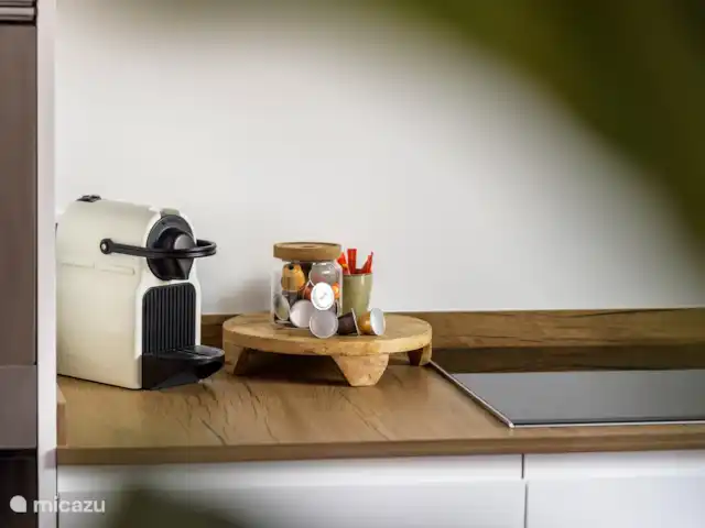 Villa mila luxury with private pool huren in Spanje, Costa Blanca, Jávea - villa keuken