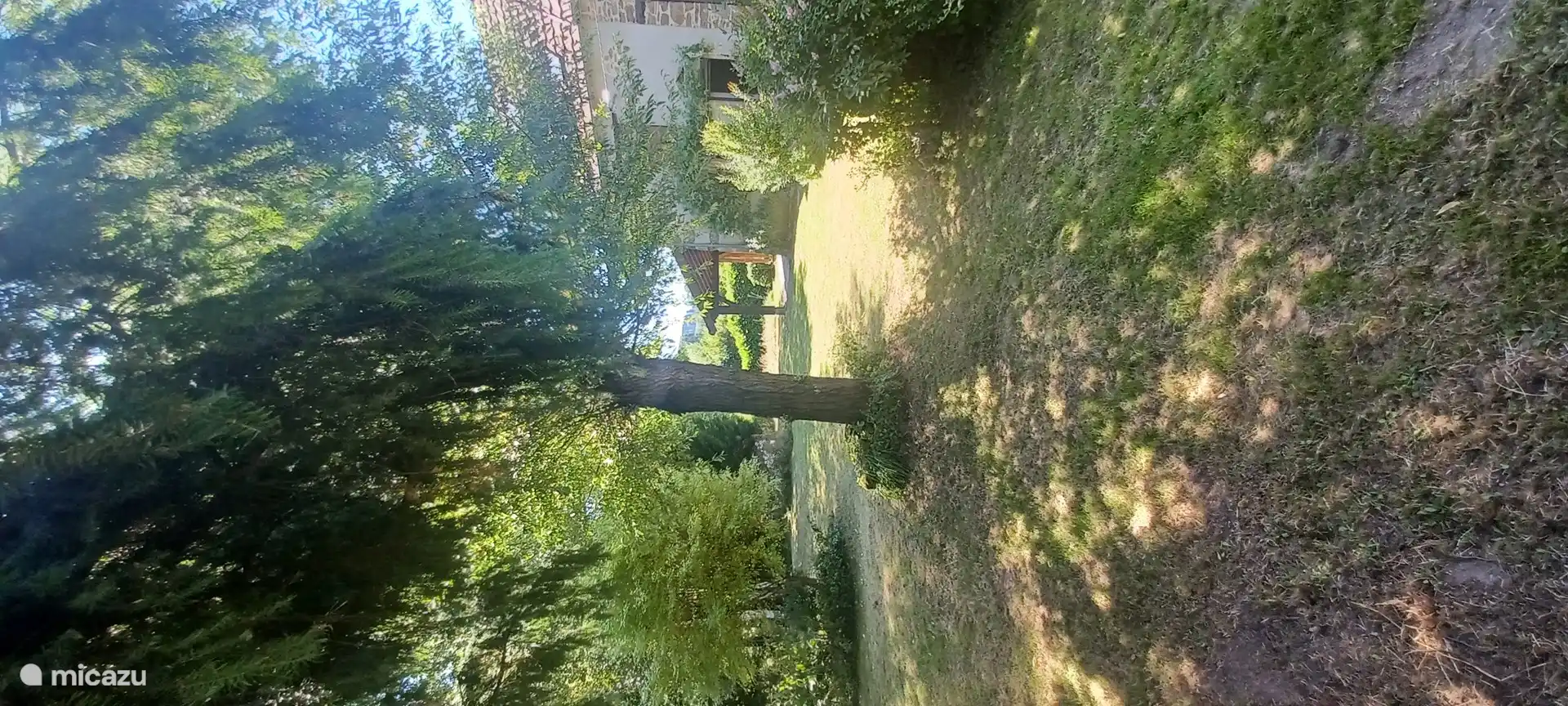 Blick auf den Garten