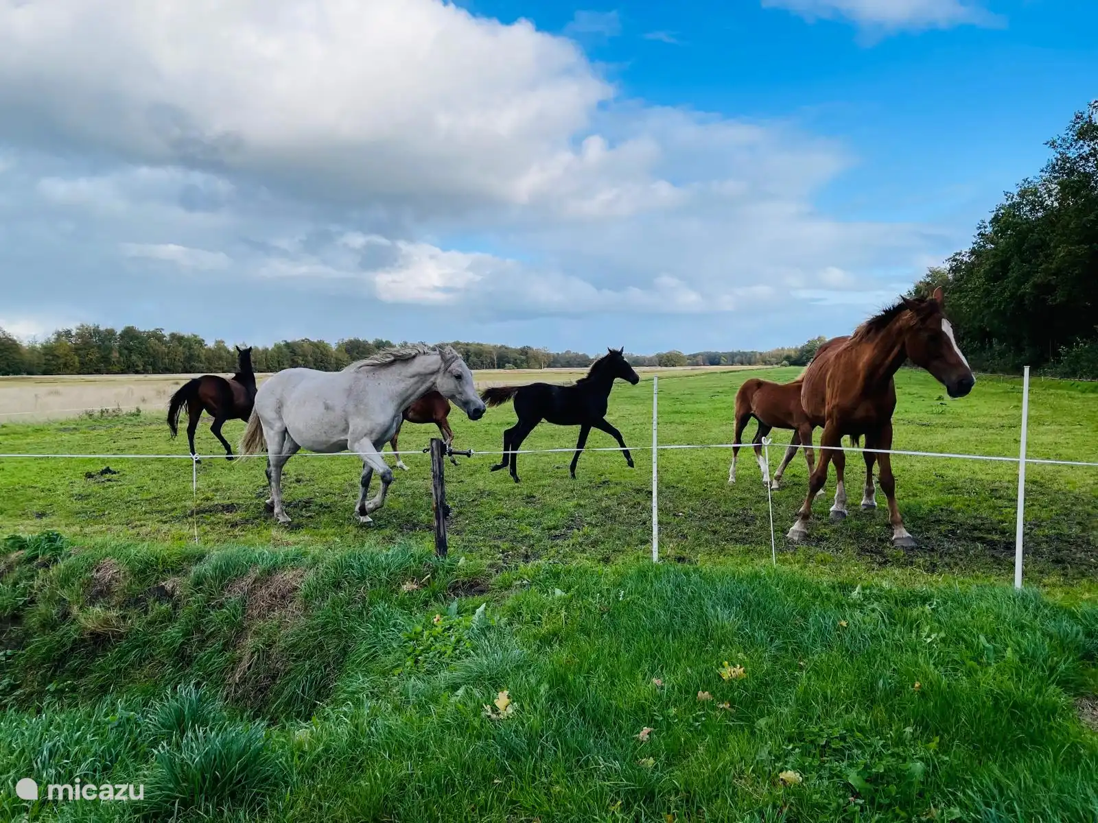 À côté de l’Oostermaat