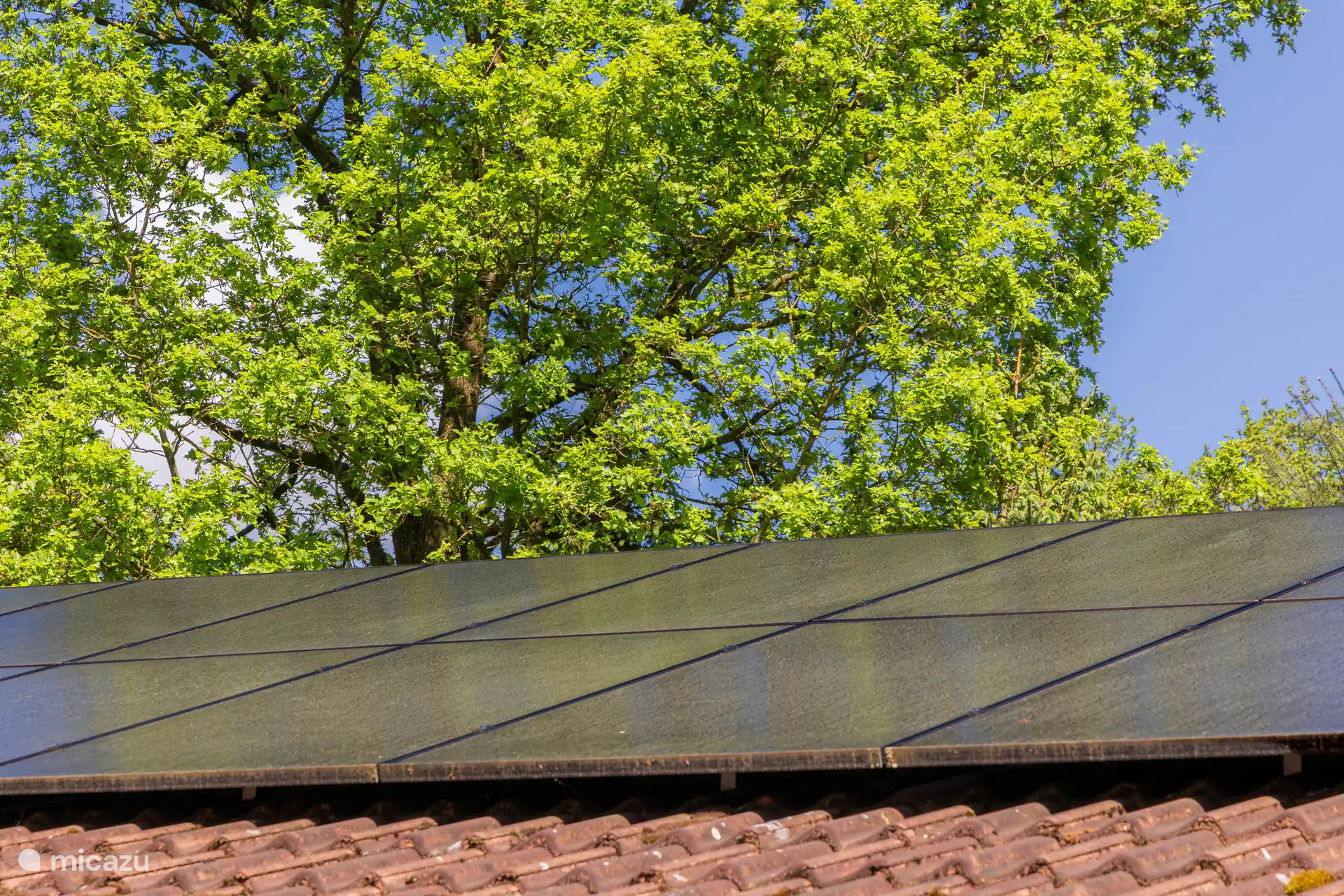 Zonnepanelen
