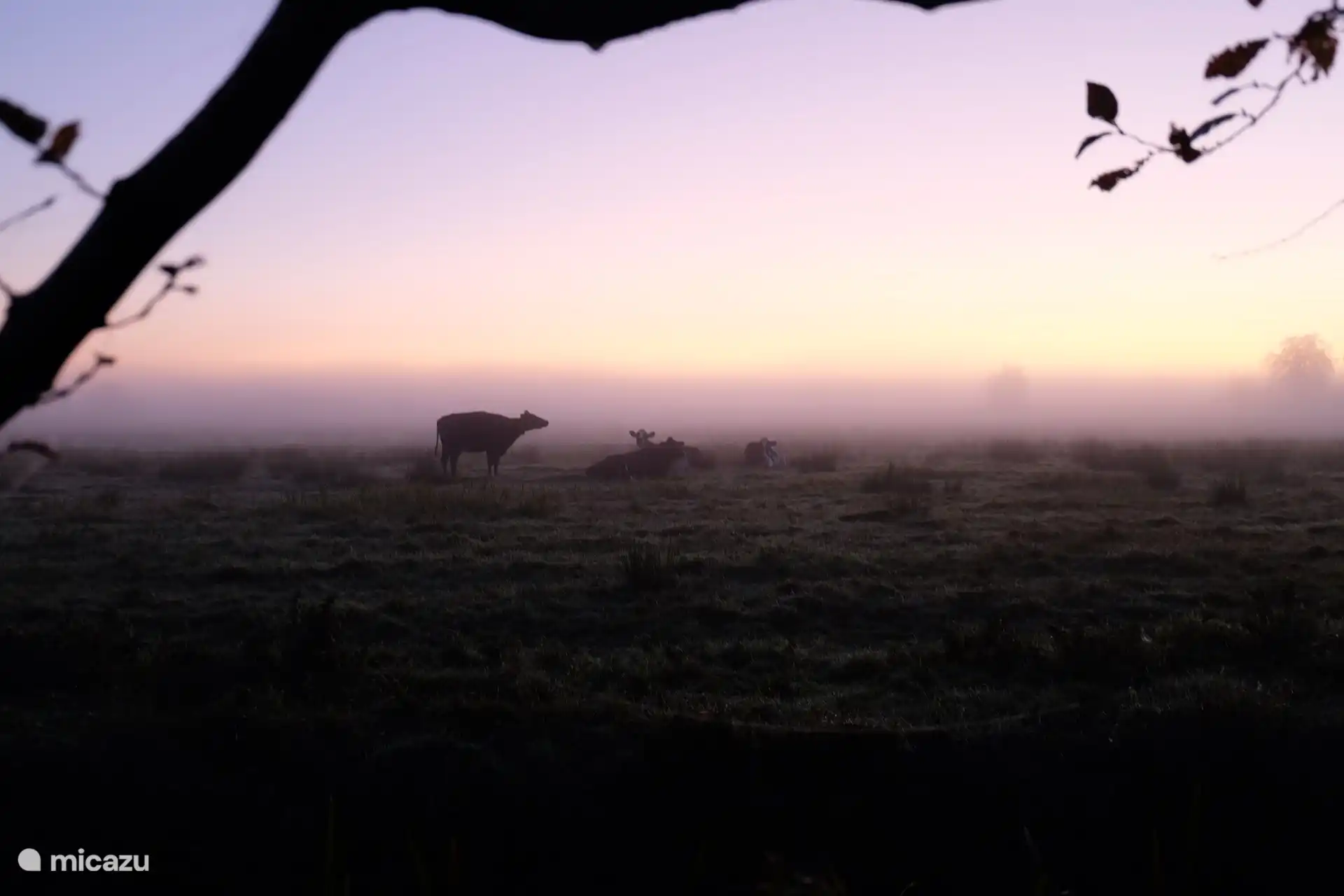 View from &#39;t Veenhuys