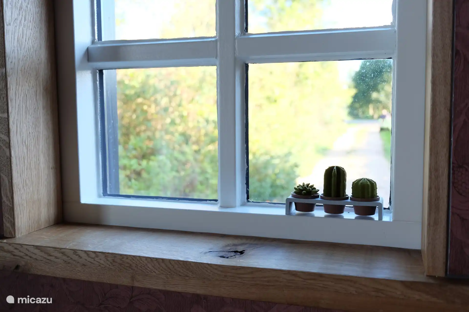 Window and view living room