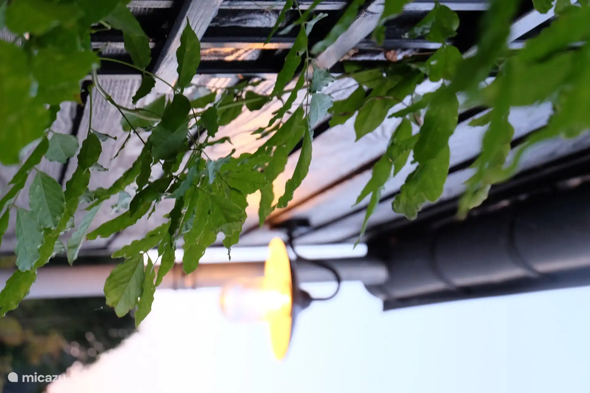 Atmospheric detail outside Veenhuys