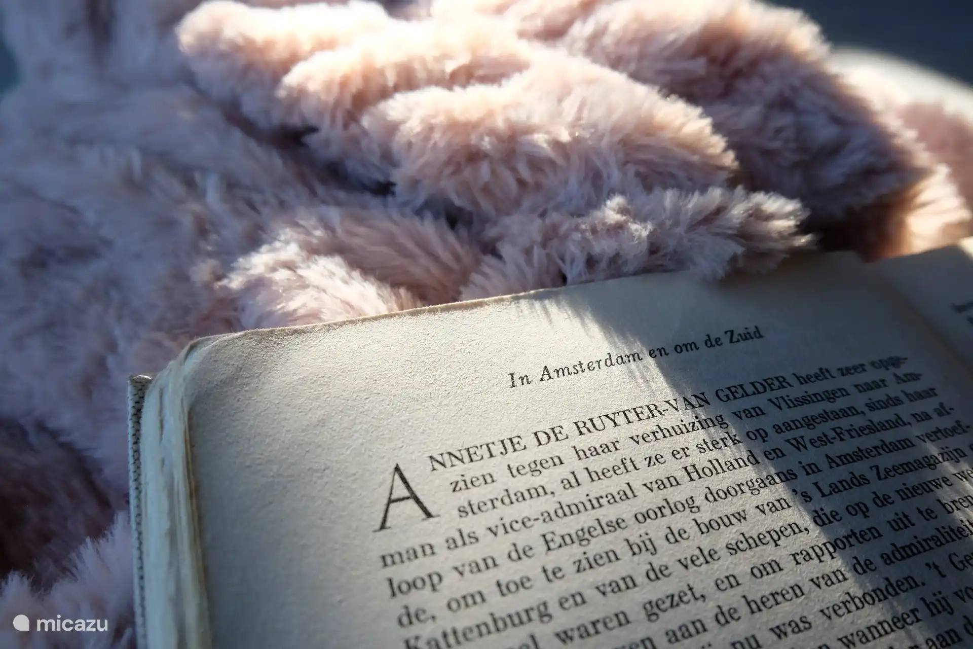 Living room atmosphere detail