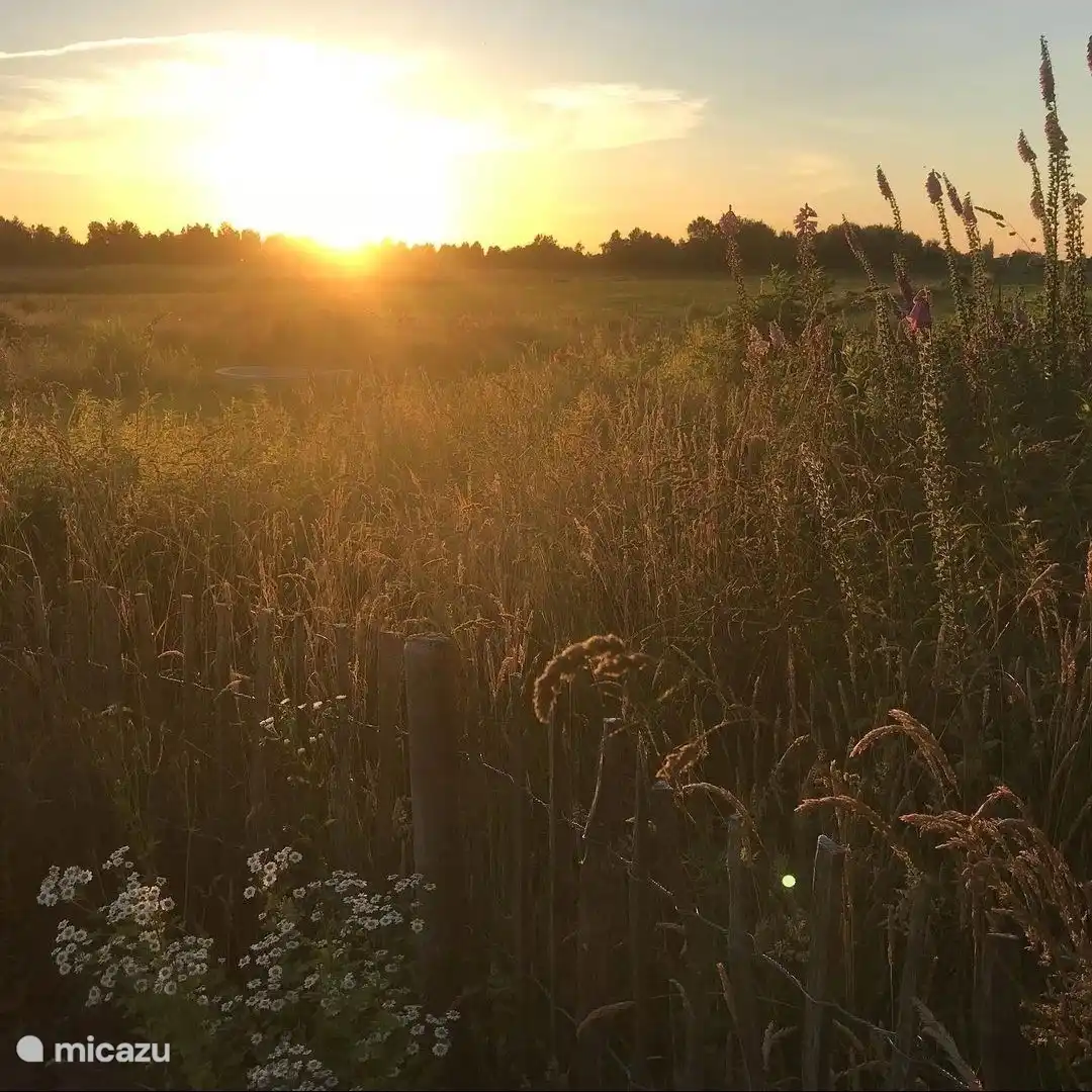 Beautiful sunset on the property