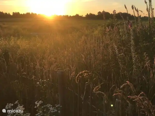 Location de Vacances Pays-Bas, Frise, Drachten, maison de vacances - 't Veenhuys Magnifique coucher de soleil sur la propriété