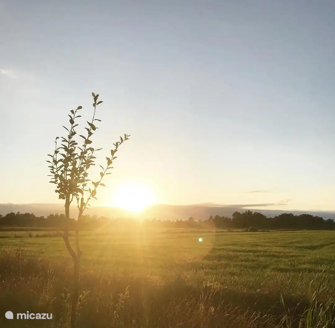 Immediate surroundings of Veenhuys