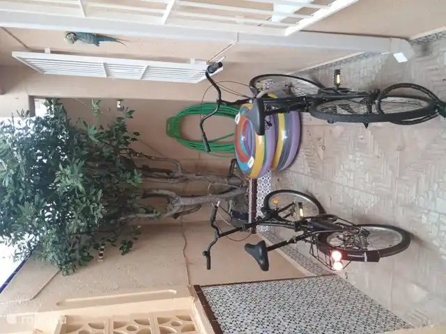 Tranquilo townhouse/Bungalow Kwintos | Espagne, Costa Blanca, Torrevieja - bungalow 2 vélos et 2 pneus pneumatiques gratuits