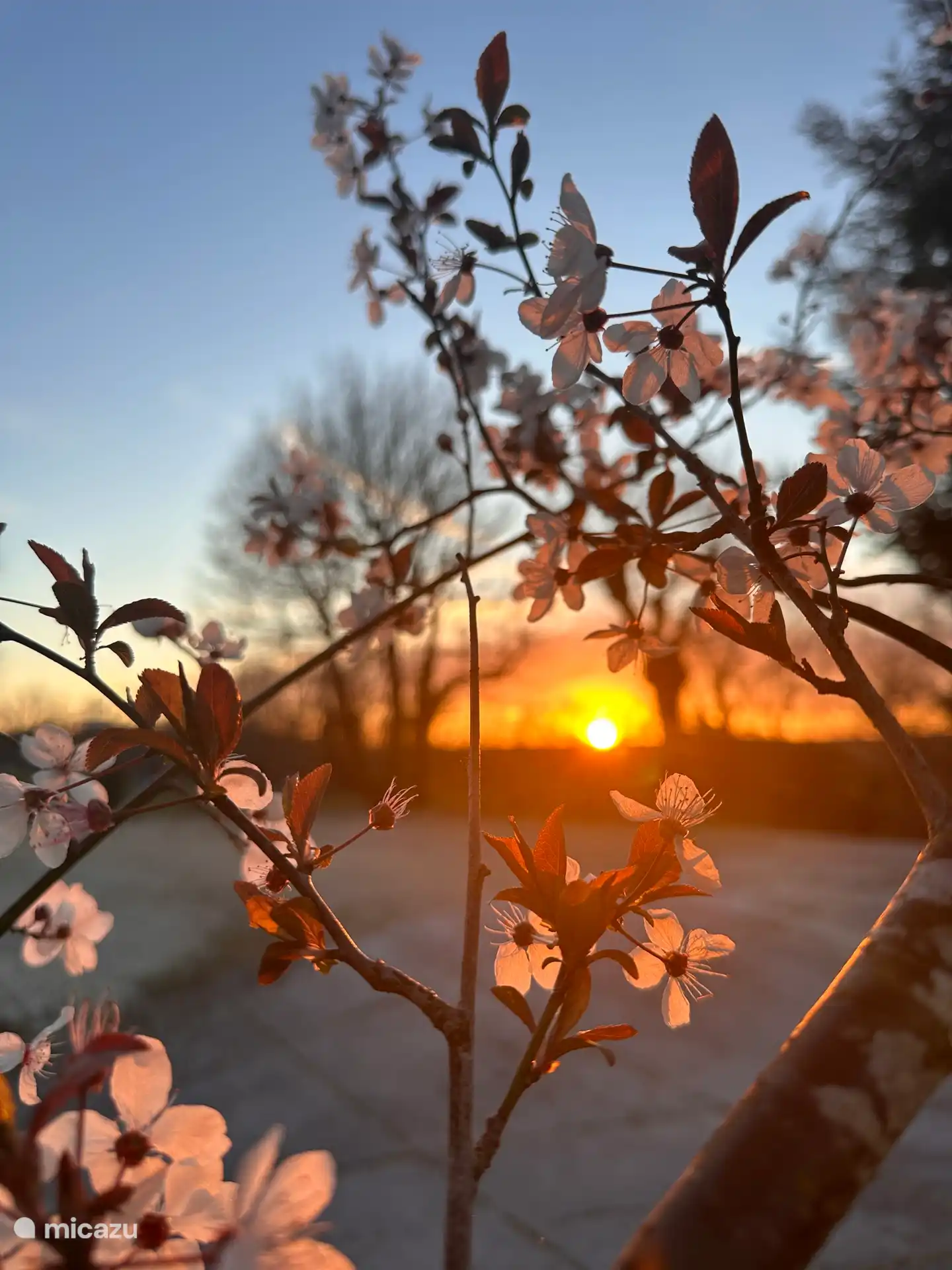 Sonnenuntergang auf dem Parkplatz