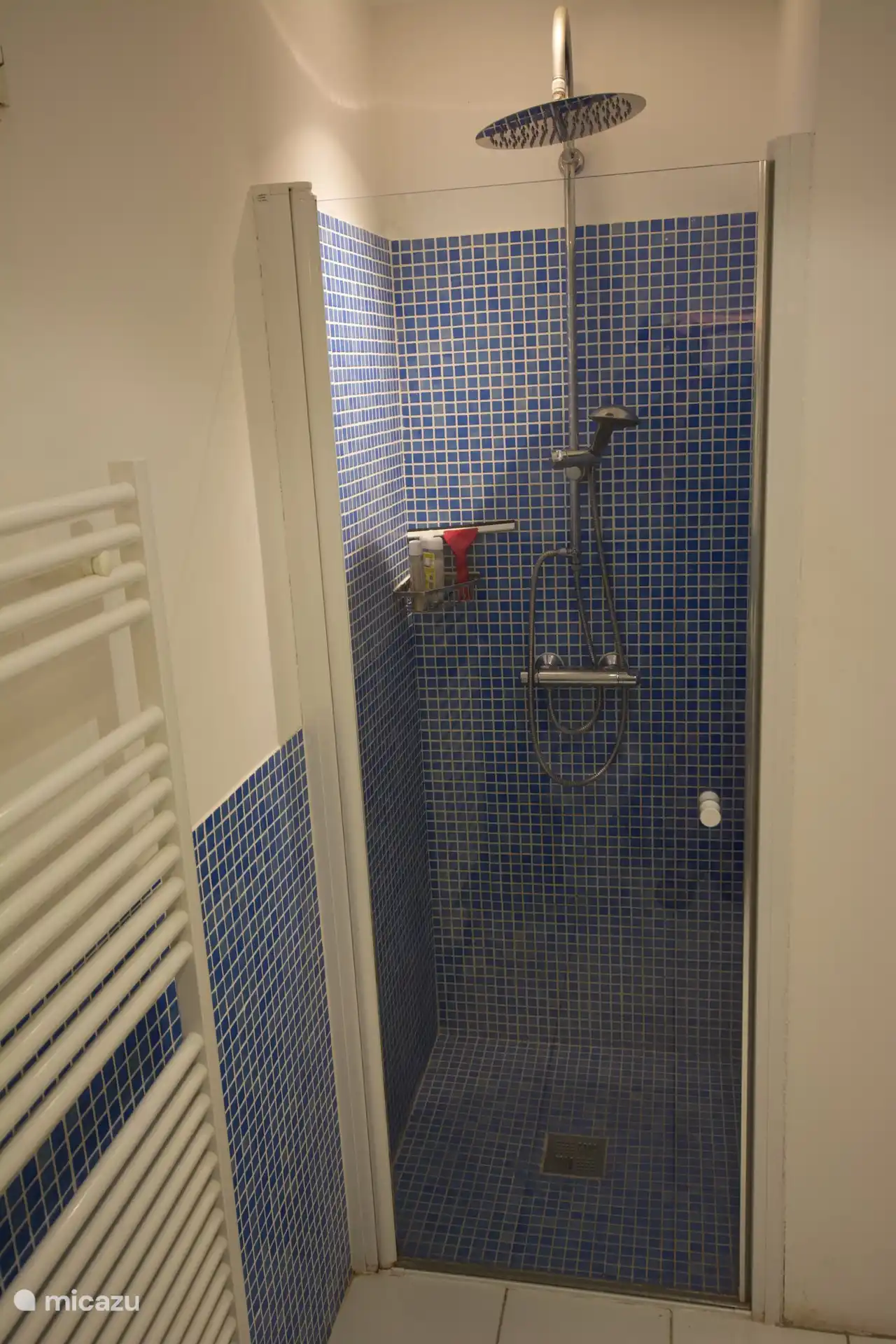 kleines Badezimmer mit Dusche und WC