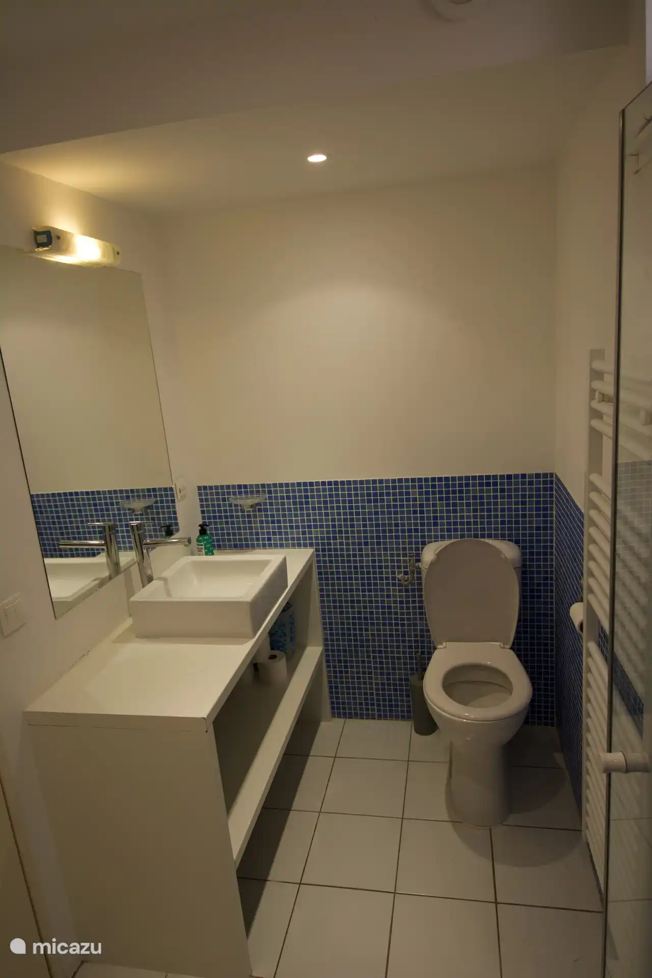 kleines Badezimmer mit Dusche und WC