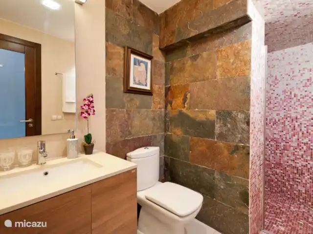 Finca Fruta huren in Spanje, Gran Canaria, Ingenio - villa Badkamer met toilet en douche