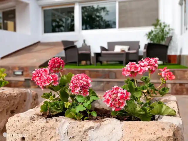 Finca Fruta huren in Spanje, Gran Canaria, Ingenio - villa Sfeervolle details