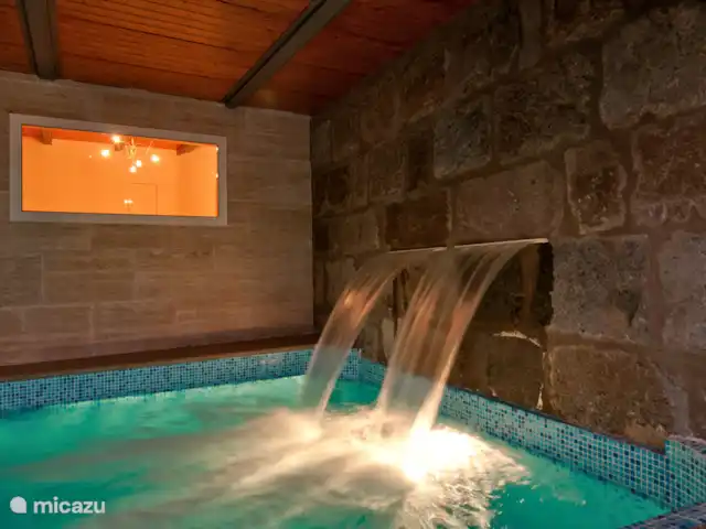 Finca Fruta huren in Spanje, Gran Canaria, Ingenio - villa Het privé zwembad