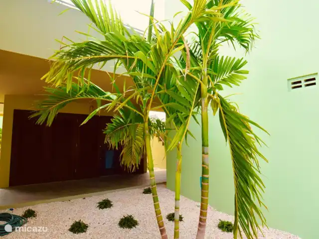 Villa Earth privé zwembad Ecoresort huren in Curaçao, Curacao-Midden, Boca St. Michiel - villa