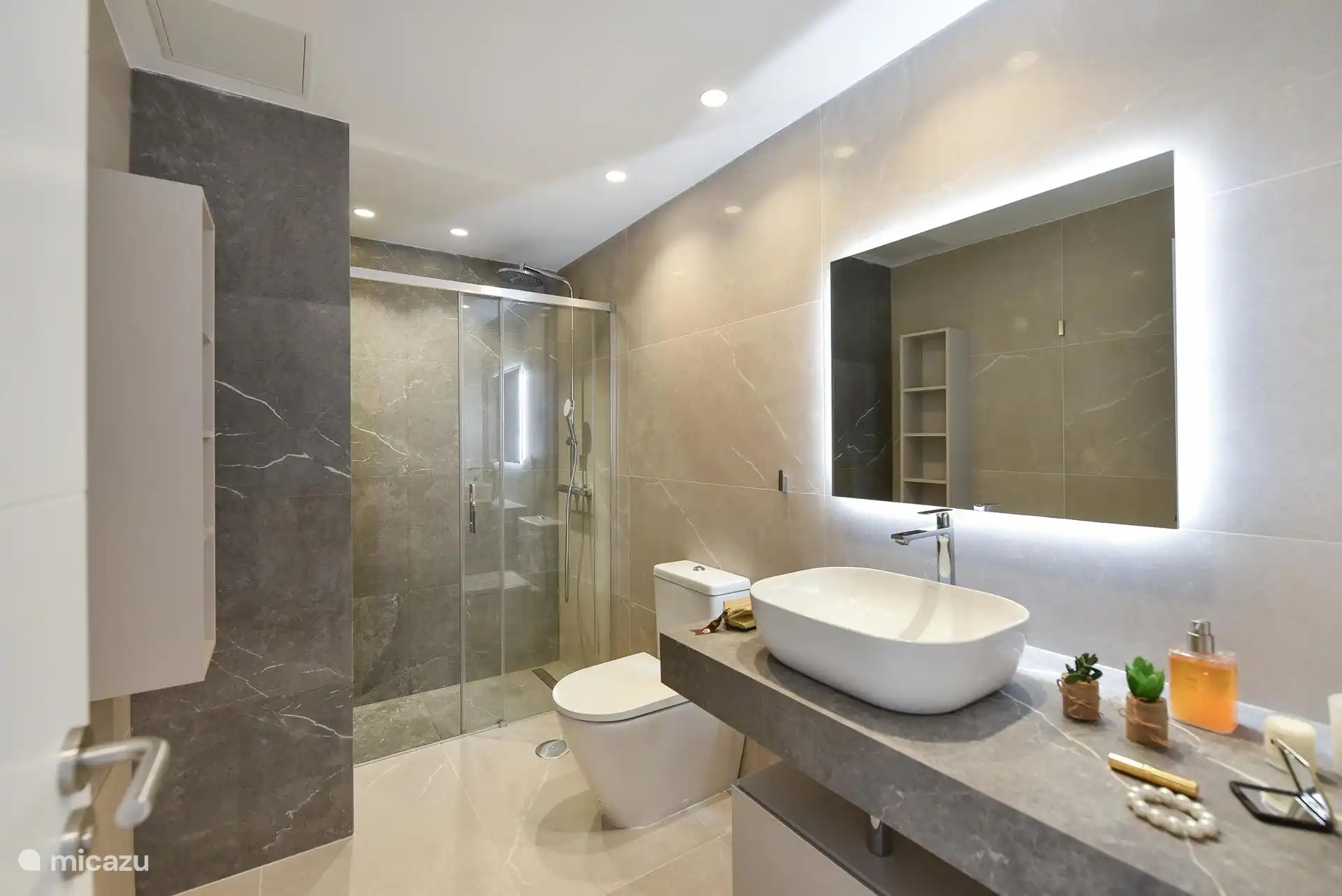 Salle de bain avec douche, lavabo et WC