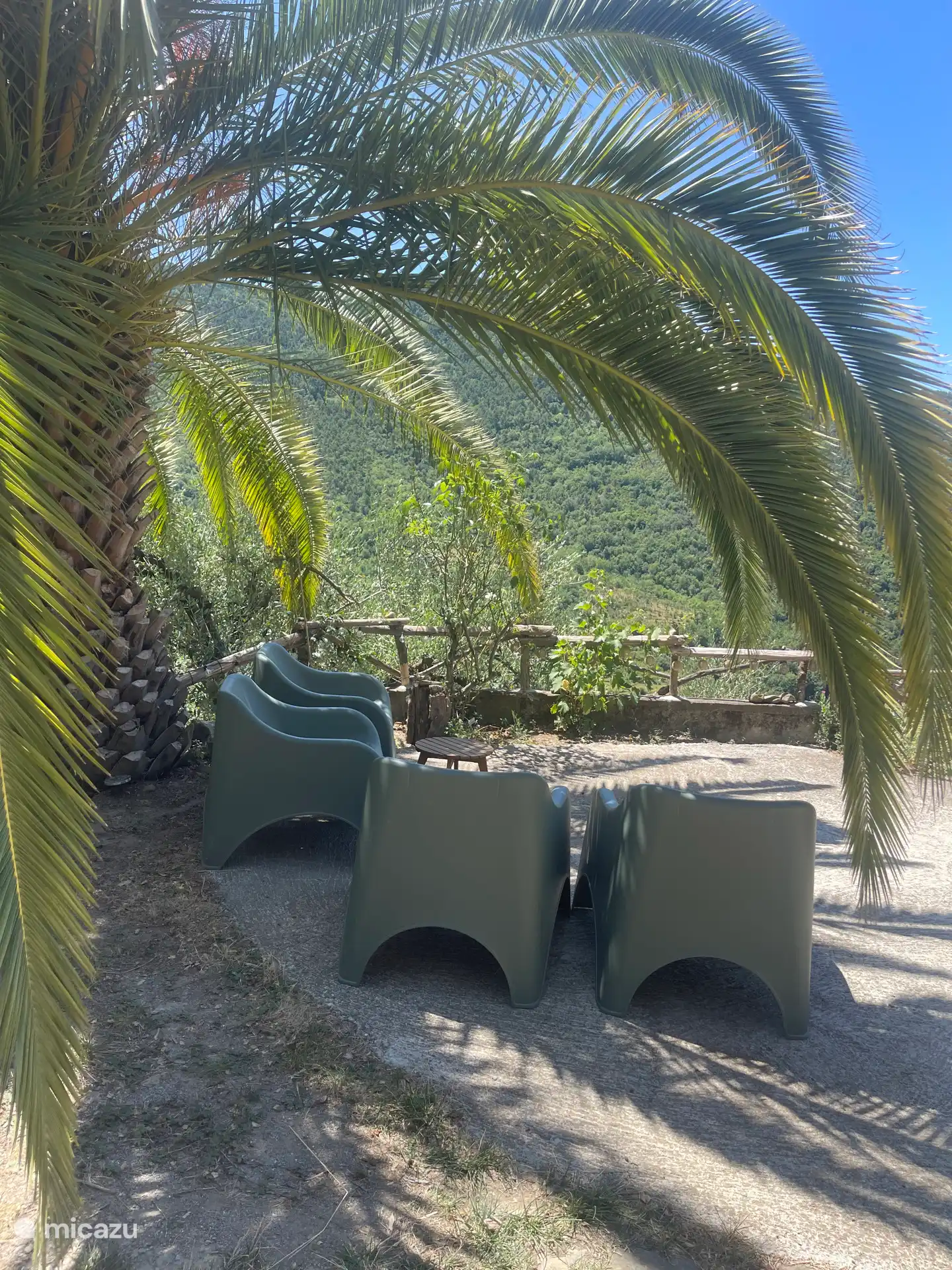 Unter der Palme hervor