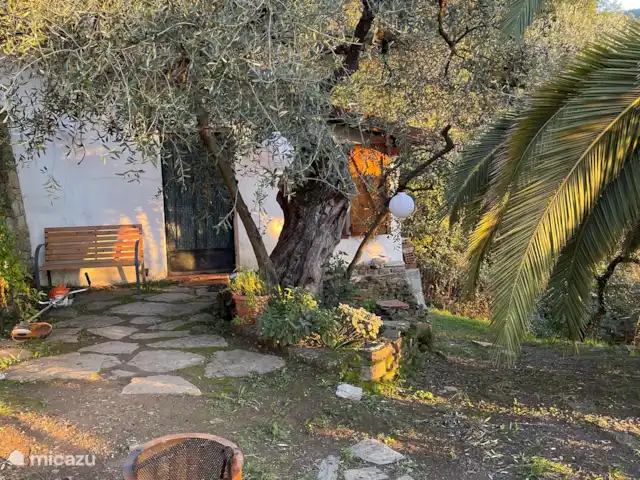 Casa della palma | Italie, Ligurie, Apricale - maison de vacances Maison d’hôtes