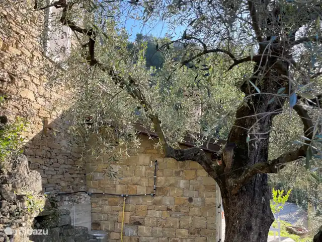 Casa della palma | Italie, Ligurie, Apricale - maison de vacances Douche extérieure
