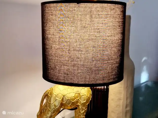 La Isla Imaré huren in Spanje, Costa Blanca, Jávea - appartement Deco lamp