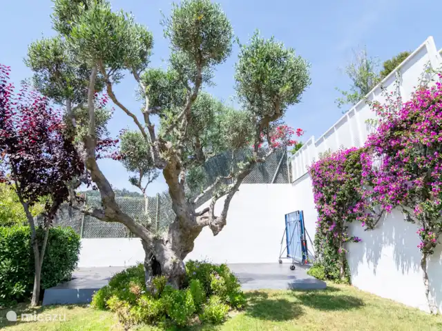 villa huren in Spanje, Costa Brava, Blanes – Villa El Olivo