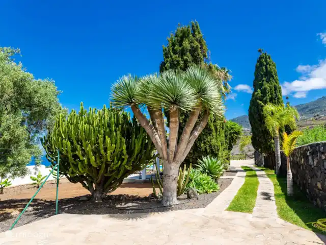 Casa La Capellana | Espagne, La Palma, Tijarafe - maison de vacances L’allée