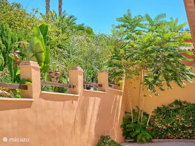 Location de Vacances Espagne, Costa Blanca, Busot, villa - Casa Solera Jardin autour de la maison