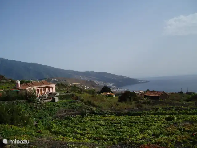Casa Carlota | Espagne, La Palma, Brena Baja - maison de vacances Un cadre magnifique
