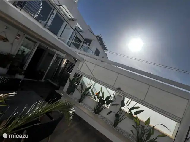 Location de Vacances Espagne, Costa Blanca, La Zenia, appartement - Appartement ensoleillé et confortable Marco Polo Location de Vacances Espagne, Costa Blanca, La Zenia, appartement - Appartement ensoleillé et confortable Marco Polo