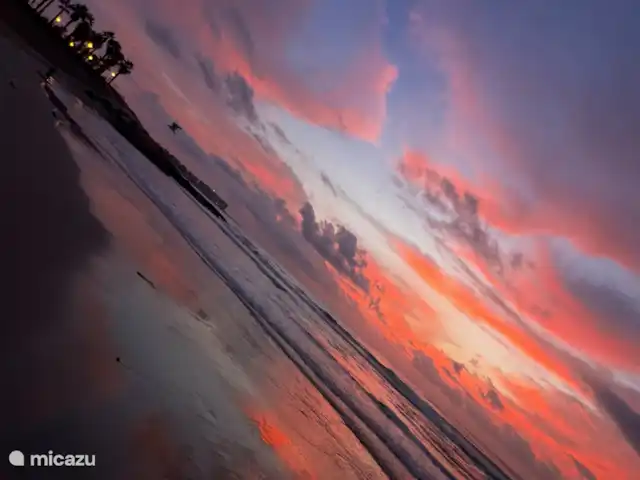 Location de Vacances Espagne, Costa Blanca, La Zenia, appartement - Appartement ensoleillé et confortable Marco Polo