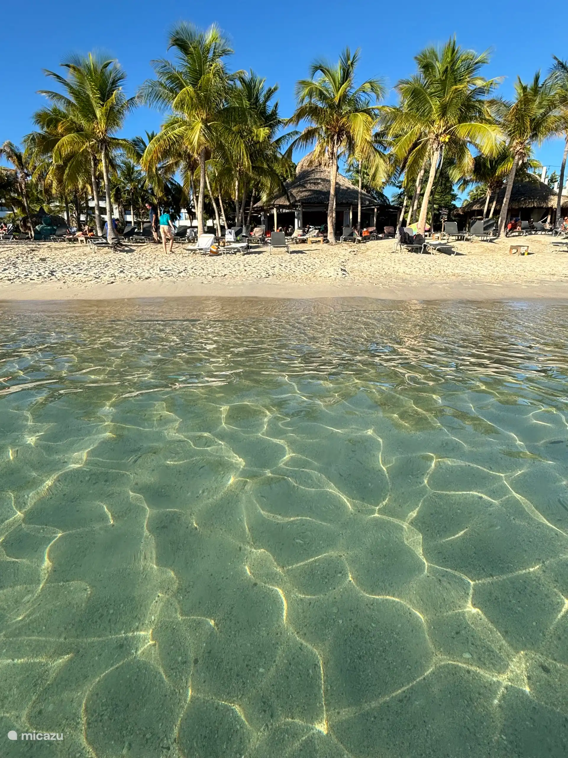 Bluebay beach gratis (toegang en bedjes) voor onze gasten.