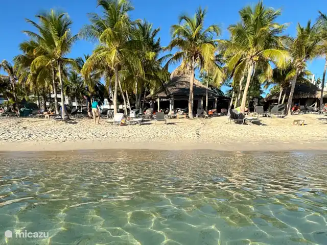 Location de Vacances Curaçao, Curaçao-Centre, Sint Michiel, appartement - Blue Bay Triple Arbre 'La Colline' Plage de Bluebay gratuite (accès et lits) pour nos clients.